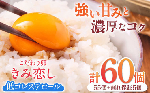 きみ恋し 60個(55個+割れ保証5個) 箱入り たまご 卵 玉子 タマゴ 鶏卵 赤卵 オムレツ たまごかけご飯 新鮮 冷蔵 濃厚 卵かけご飯 朝食 旨味 鮮度 TKG こだわり卵 福岡 たまご 広川町 / 伊藤養