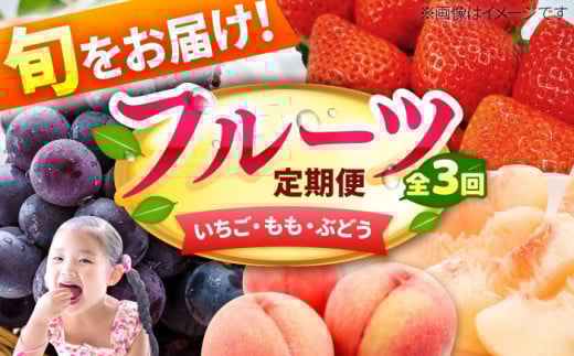 ys\ 2026N2Jnzy3ցz3R[X   Ԃǂ  sI[l C`S  uhE  t[c L쒬 / JAӂ_Yǂ [AFAB010]