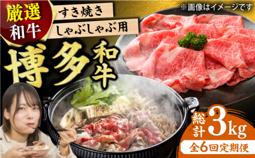 y6ցzaԂԂĂp 500g   XCX a Ԑg  [X o L쒬 / MEAT PLUS [AFBO024]L쒬71000