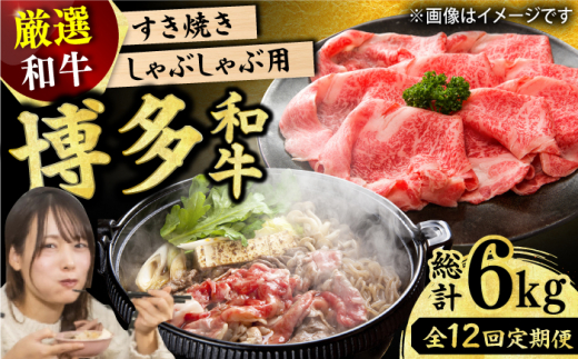y12ցzaԂԂĂp 500g   XCX a Ԑg  [X o L쒬 / MEAT PLUS [AFBO025]L쒬142000