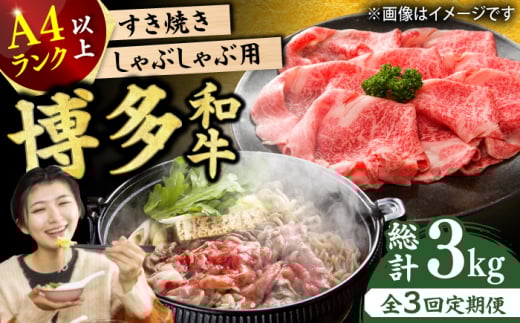 y3ցza ԂԂĂpi[XEEEfj1kgi500g×2pj   јa Ԑg ؂ Y  Ⓚ L쒬 / MEAT PLUS [AFBO035]L쒬63000