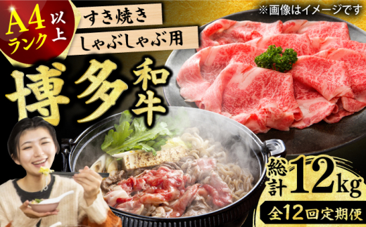 y12ցza ԂԂĂpi[XEEEfj1kgi500g×2pj   јa Ԑg ؂ Y  Ⓚ L쒬 / MEAT PLUS [AFBO037]L쒬250000