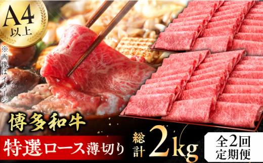 y2ցza I[X ؂ 1kg   Xe[L Ε  p T[C Ԑg ̓ ̓ hV̓ ɂ 킬イ L쒬 / vcX [AFBV050]L
