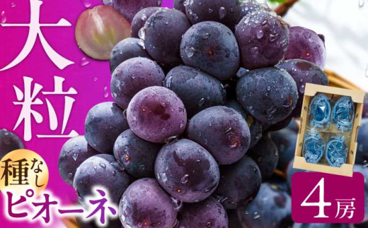 ys\ 2026N7{蔭zsI[l 1.4kg Ԃǂ uhE ҂[ sI[l  t[c ʕ 嗱 Ȃ  pbN  ① VN Â fU[g { L쒬 / JA