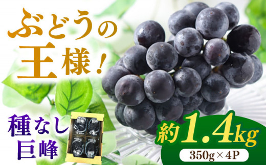 ys\ 2026N7{蔭zȂ  1.4kg ӂǂ uhE   Ȃ t[c ʕ ʎ  { Yn  VN ① L쒬 / JAӂ_Y