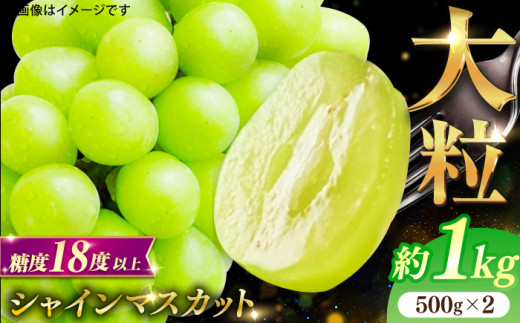 【★先行予約★ 2026年8月下旬以降発送】シャインマスカット 2房セット 約1kg ますかっと シャインマスカット しゃいんますかっと ぶどう 果物 くだもの 種なし 皮ごと 旬 福岡 葡萄 フルー