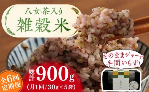 y6ցz G 30g×5 v900g L쒬/[NAhCt [AFAQ005]L쒬60000āEpāEGāEāE