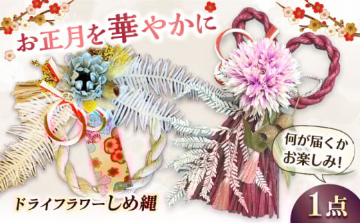 ys\ 11-12zߓ ߂Ȃ Vi  ͂ ni hCt[ t[AWg  L쒬 / flowerfield [AFBZ001]L쒬13000ߗށEiEH|i