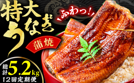 y12ցz劗āi220g×2j L쒬 / C[t@Ng[ [AFBS008]L쒬115000ECYȂ