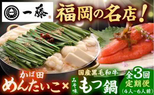 y3ցzyꓡ×ΓczYјâ疡X(4`6lO)ƂΓc̐hqq R{Zbg L쒬 / Smallcompany [AFCB018]L쒬80000ZbgE؁EHH