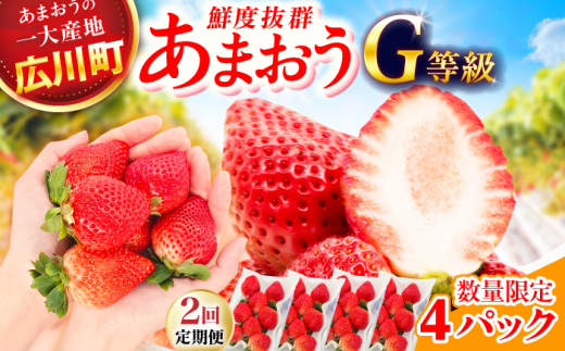 y2ցz ܂G 2P[Xi270g×4pbNj L쒬 / JAӂ_Yǂ [AFAB084]L쒬27000ʕEt[c