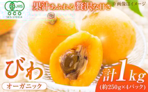 ys\ 2025N4Jnzт 250g(4`7)×4pbN f r t[c ʕ  ʎ { fU[g Â  т L쒬 / JAӂ_Yǂ [AFAB002]