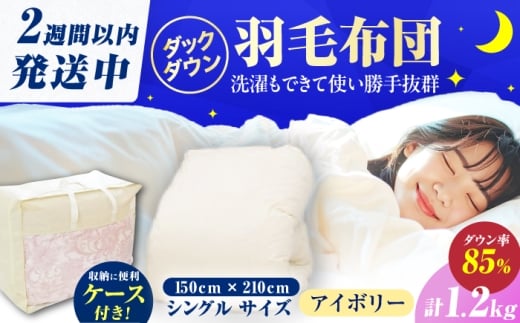 y󂠂z}㎵HтӂƂ VO H1.2kg nAC{[ L쒬 / q [AFAO027]L쒬47000G݁EpiQE^I