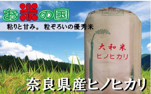 EA-6.【定期便】令和7年産 奈良県産ヒノヒカリ1等(玄米)10kg×3【玄米】奈良県桜井市97000米・パン白米