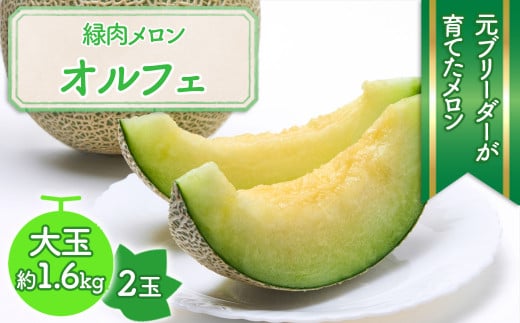 ※予約受付M-AG15.【6月〜7月頃発送】特大ネットメロン 2玉 緑肉種「オルフェ」奈良県桜井市17000果物・フルーツメロン・スイカ