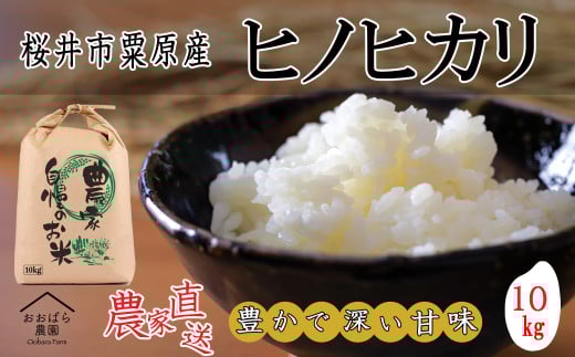 M-B25.【白米】令和7年度産 桜井市粟原産 ヒノヒカリ 玄米時10s × 1袋奈良県桜井市32000米・パン白米