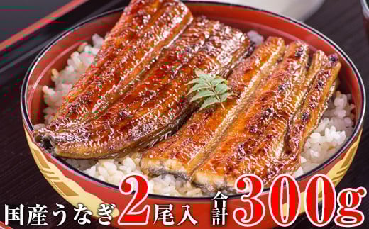 国産うなぎ蒲焼き大サイズ2本セット(A247-2)和歌山県有田市13000魚介・海産物うなぎ