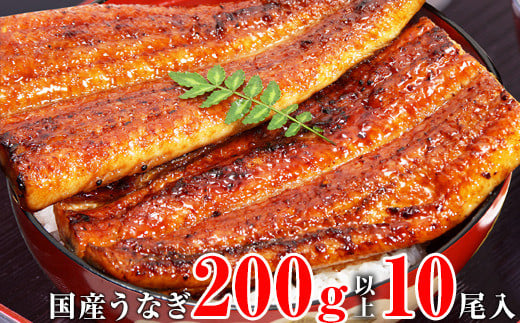 卑YȂ10{Zbg i200`229gj(A269-1)a̎RLcs85000ECYȂ