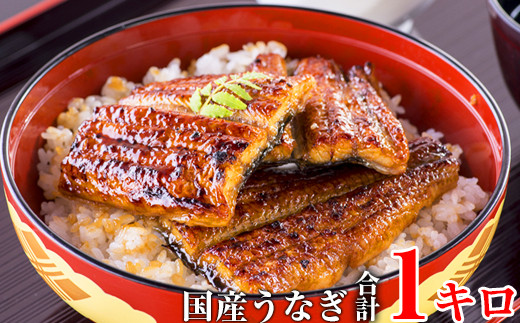 国産うなぎ蒲焼きカット1kgセット (A59-2)和歌山県有田市43000魚介・海産物うなぎ