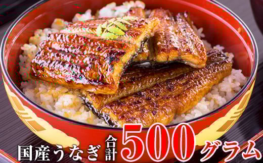 国産うなぎ蒲焼きカット500gセット (A448-1)和歌山県有田市22000魚介・海産物うなぎ