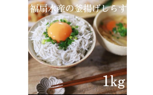 釜揚げしらす1kg【福扇水産】(A480-1)和歌山県有田市12000魚介・海産物その他 魚介・海産物