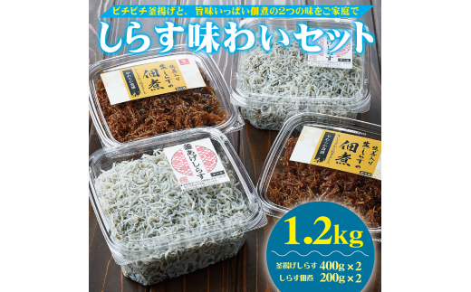 しらす味わいセット(釜揚げしらす・しらすの佃煮)1.2kg(A536-2)和歌山県有田市17000魚介・海産物その他 魚介・海産物