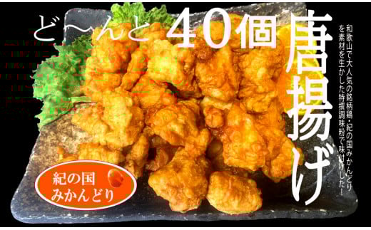 紀の国みかんどり 特選唐揚げ40個セット(A582-1)和歌山県有田市12000肉鶏肉