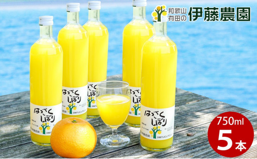 伊藤農園100%ピュアジュースはっさくしぼり750ml×5本(A607-2)和歌山県有田市15000お茶・飲料果汁・野菜飲料