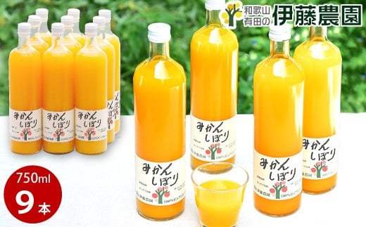 ɓ_ 100sAW[X ݂񂵂ڂ750ml×9{iA636-3ja̎RLcs25000Eʏ`E؈