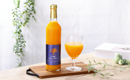 温州みかん100%ストレートジュース【Premium Taste uetomo】500ml×2本セット(A670-1)和歌山県有田市19000お茶・飲料果汁・野菜飲料