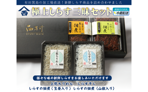 極上しらす三昧セット(4種詰め合わせ)(A676-3)和歌山県有田市15000魚介・海産物その他 魚介・海産物