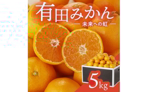 有田みかん「未来への虹」(5kg)(A973-2)和歌山県有田市10000果物・フルーツみかん・柑橘類