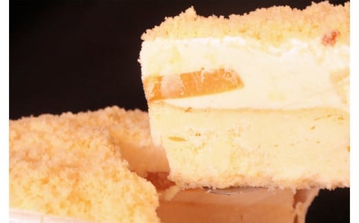 岩室フロマージュ(A980-1)和歌山県有田市10000菓子・スイーツケーキ・カステラ