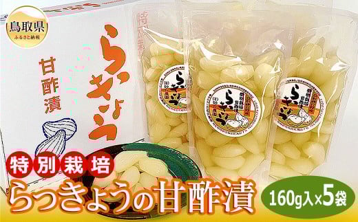 A24-034 特別栽培らっきょうの甘酢漬 鳥取県 おすすめ 砂丘らっきょう 甘酢漬け鳥取県10000鍋セット・総菜・加工食品漬物・梅干・キムチ
