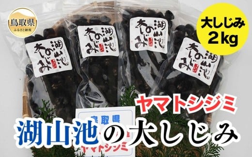 B24-070 鳥取市湖山池の大しじみ(冷凍・砂抜き)2kg 鳥取県 おすすめ ヤマトシジミ 500g×4鳥取県20000魚介・海産物貝類