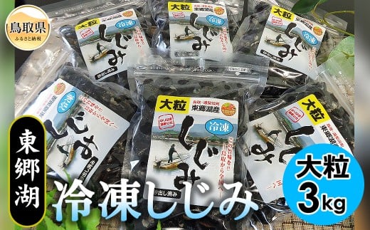 C24-012 東郷湖冷凍しじみ(大粒) 3kg 鳥取県 おすすめ 湯梨浜町 黒いダイヤ鳥取県30000魚介・海産物貝類