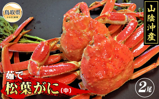 C24-047 茹で 松葉かに(足欠け)中サイズ 2尾入【期間・数量限定】 鳥取県 おすすめ ボイル 松葉がに ズワイガニ鳥取県30000魚介・海産物カニ