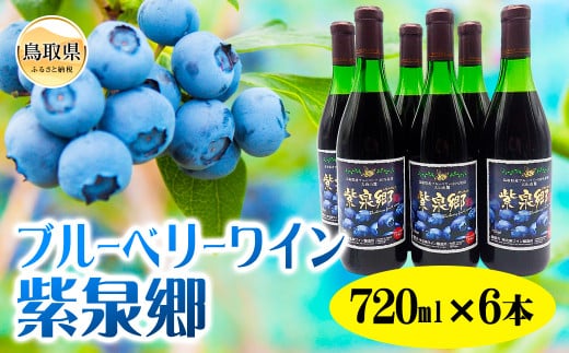E24-005 ブルーベリーワイン紫泉郷720ml 6本セット【数量限定】鳥取県70000酒・アルコールワイン