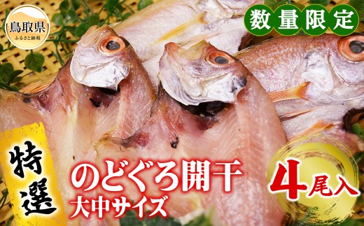 B24-137 【特撰】のどぐろ開干 大中サイズ 4尾入 【数量限定】鳥取県20000魚介・海産物干物