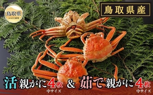 D24-022 鳥取県産 活親がに&茹で親がに【期間限定】 鳥取県 おすすめ ボイル ズワイガニ鳥取県40000魚介・海産物カニ