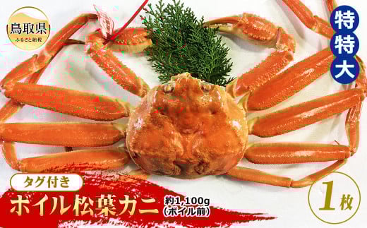 F24-072 【魚倉】タグ付きボイル松葉ガニ 特特大 約1,100g(ボイル前)【期間限定】 鳥取県 おすすめ 松葉かに ズワイガニ鳥取県130000魚介・海産物カニ