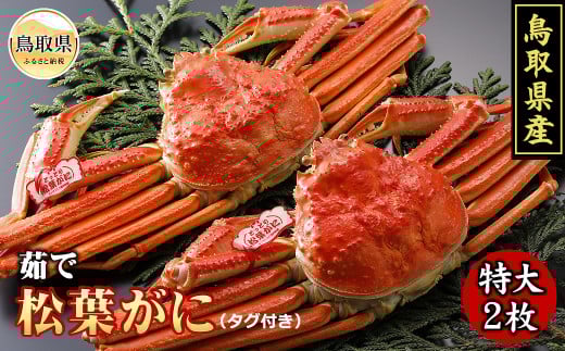F24-007 挧Y@䥂ŏt2yԌz 挧  {C t YCKj挧170000ECYJj