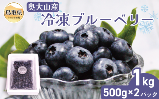 B24-208 RYⓀu[x[500g×2pbN挧20000ʕEt[c̑ ʕEt[c