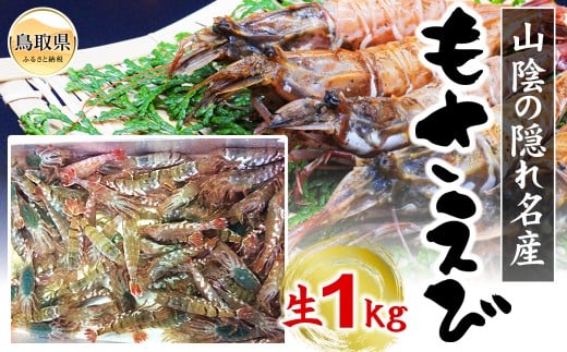 D24-106 【魚倉】モサエビ 生1kg(中〜大サイズ) 鳥取県 もさえび鳥取県40000魚介・海産物エビ