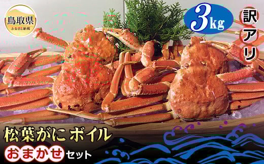 E24-077 【魚倉】松葉がに ボイル おまかせセット 3kg 訳あり【期間限定】 鳥取県 おすすめ 松葉かに ズワイガニ鳥取県90000魚介・海産物カニ