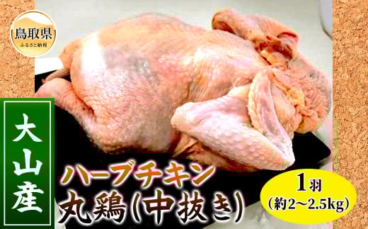 A24-258 大山産ハーブチキン丸鶏(中抜き)鳥取県10000肉鶏肉