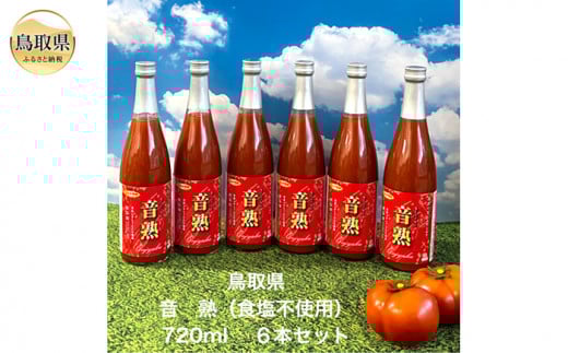 D24-152 挧쒬̊nYg}gW[X6{Zbg挧40000Eʏ`E؈
