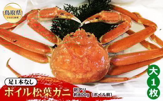 E24-097 【魚倉】足1本なしボイル松葉ガニ訳あり 大 約800g(ボイル前)【期間限定】 鳥取県 おすすめ 松葉かに ズワイガニ鳥取県60000魚介・海産物カニ