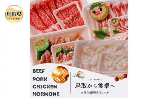 と24-010 鳥取県産 焼肉セット 2.4kg (6〜10人前) ホルモン 丸腸 牛肉 豚肉 鶏肉 バーベキュー 鳥取産 BBQ ファミリーセット鳥取県50000肉牛肉