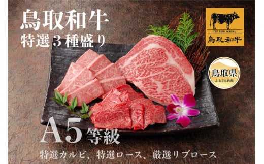 D24-157 鳥取和牛 A5等級 特選3種盛り(特選カルビ150g、特選ロース150g、厳選リブロース200g) 鳥取県 おすすめ 霜降り 牛肉 牛肉食べ比べ 牛肉セット鳥取県40000肉牛肉